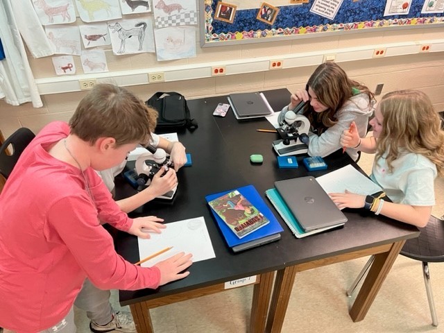 7th graders looking at cells under a microscope